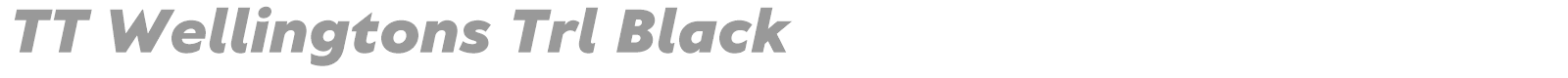 TT Wellingtons font preview